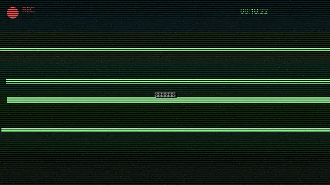清晨公园散步 - 91吃瓜网 日常记录